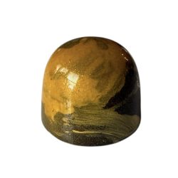 Photoroom_20260131_110421